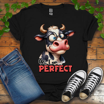 I Am Perfect