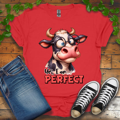 I Am Perfect